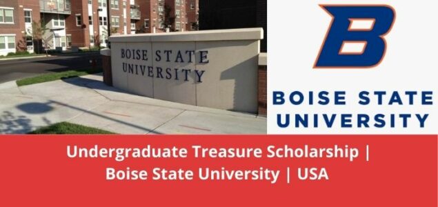 Latest Undergraduate Treasure Scholarship, USA, 2022-23