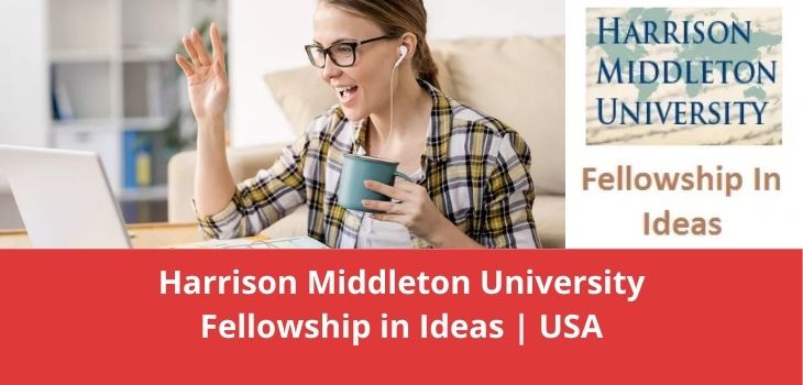 Harrison Middleton University Fellowship in Ideas USA