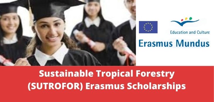 Sustainable Tropical Forestry (SUTROFOR) Erasmus Scholarships