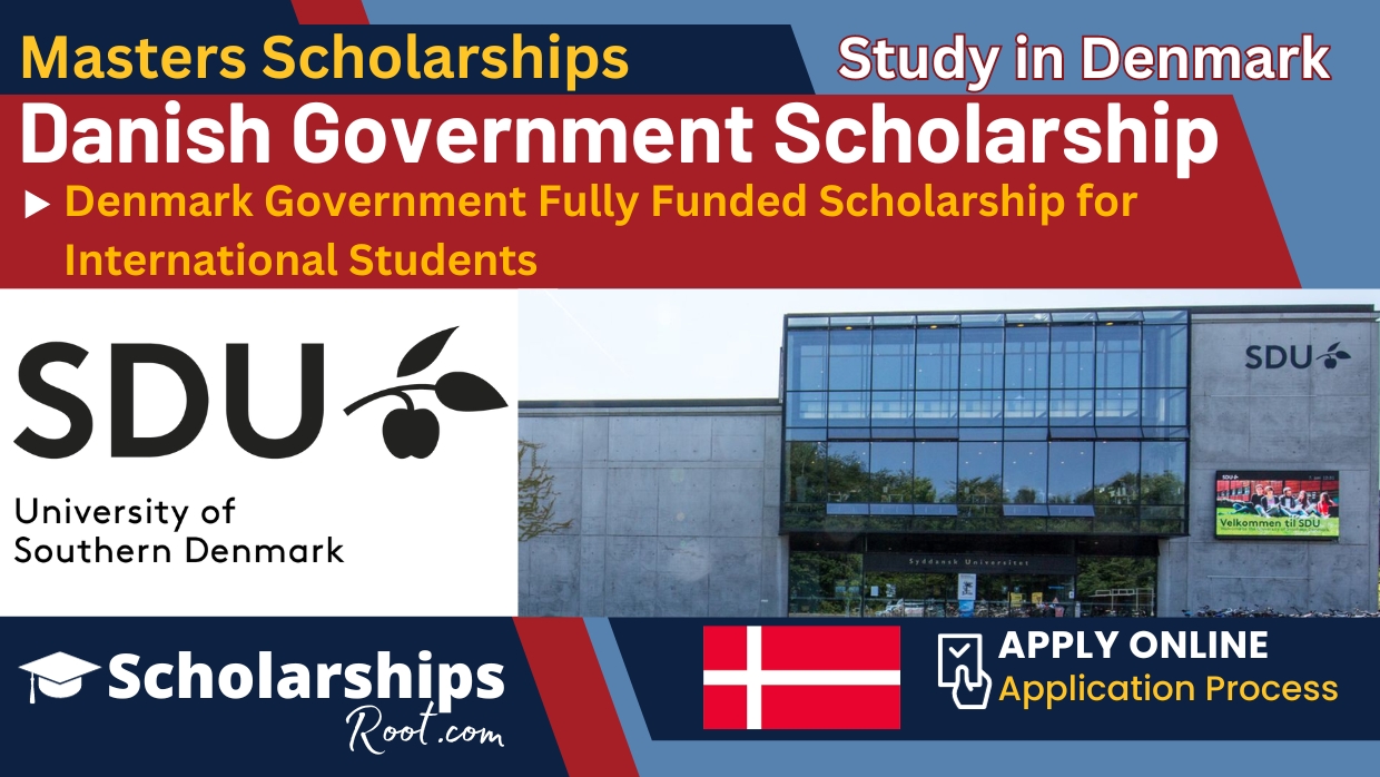 Denmark Government Fully Funded Scholarship 2024 for International Students (Danish Government Scholarship)