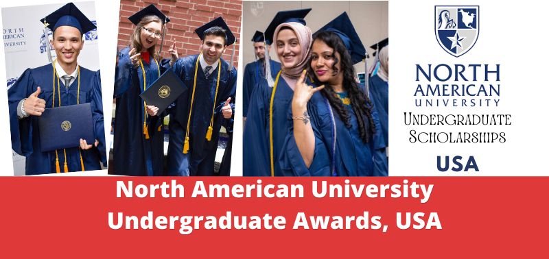 North American University Undergraduate Awards, USA