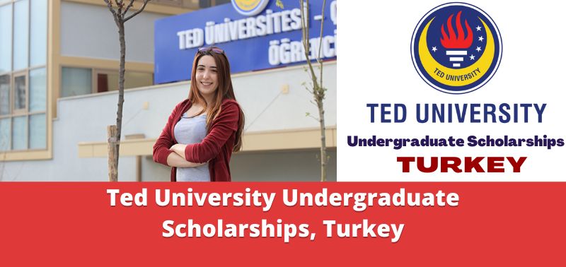 Ted University Undergraduate Scholarships, Turkey