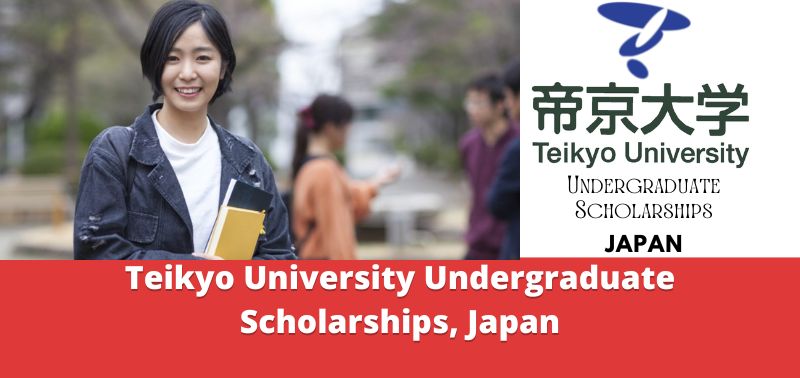 Teikyo University Undergraduate Scholarships, Japan