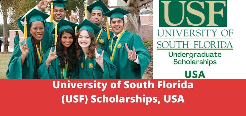 University of South Florida (USF) Scholarships, USA