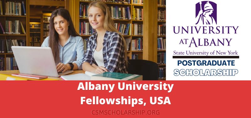 Albany University Fellowships, USA
