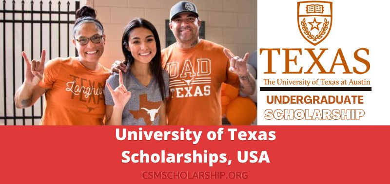 University of Texas Scholarships, USA