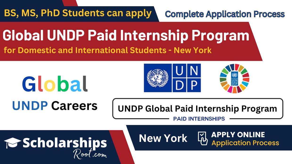 Global UNDP Paid Internship Program 2024 New York