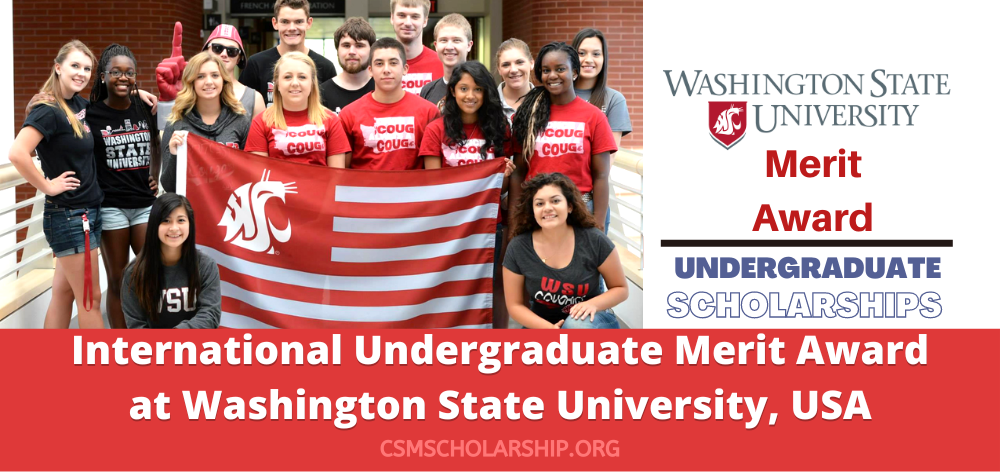 International Undergraduate Merit Award at Washington State University USA