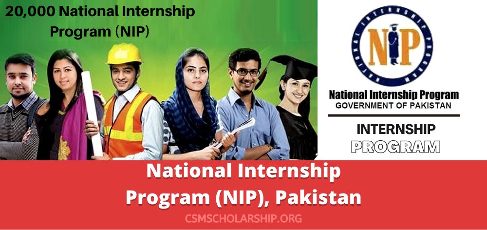 National Internship Program NIP Pakistan