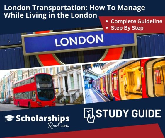 London Transportation How To Manage While Living in the London