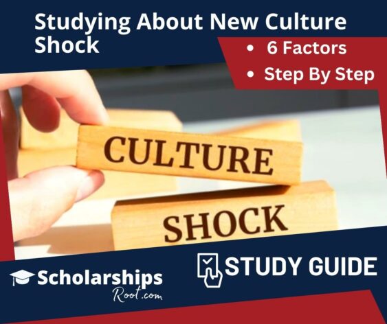 Studying About New Culture Shock And Its 6 Factors