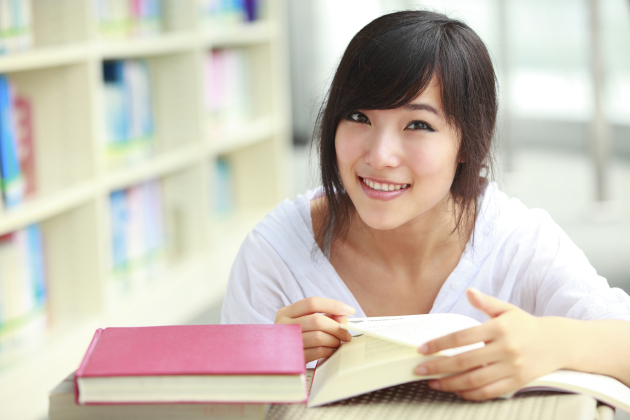 Chinese Government Scholarship (CSC)