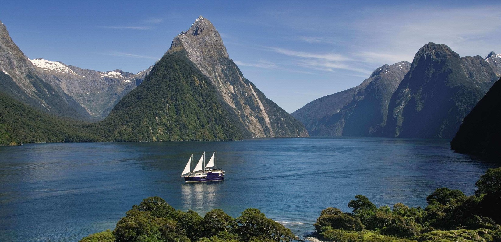 study in new zealand on a scholarships