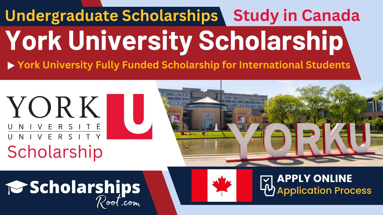 York University Scholarship 2024 (Fully Funded scholarship for international students in Canada)